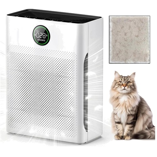 Air purifier for large - air,