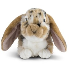 Lop Eared Rabbit Soft Toy