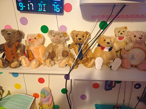 Steiff teddy mohair bear - teddy, lot