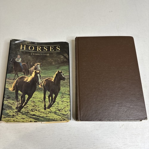 Horses guide selection - to,