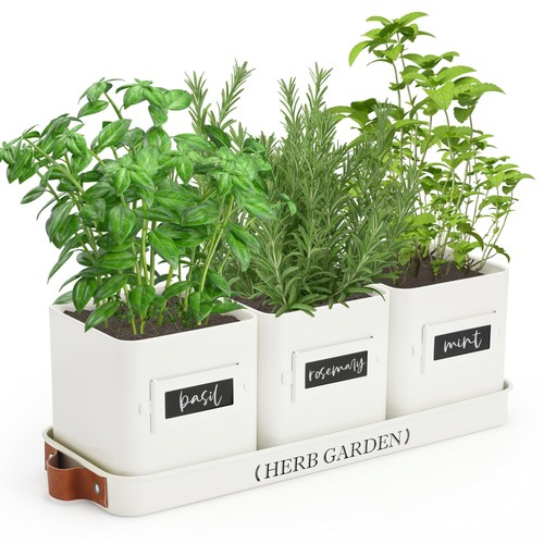 Indoor herb garden - indoor,