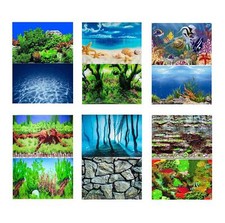 Aquarium Fish Tank Background