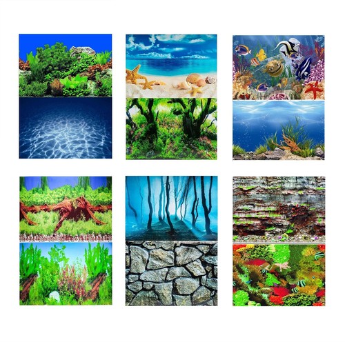 Aquarium fish tank background - tank,