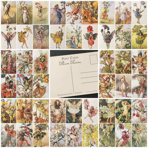 Flower fairies postcards - flower,