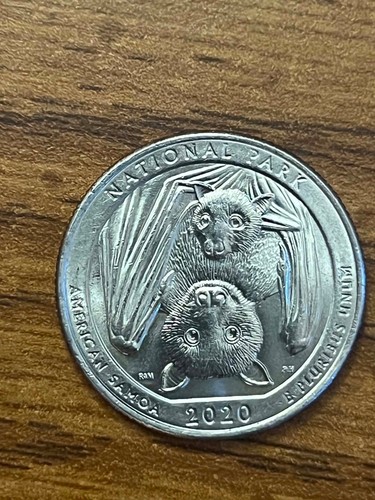 Rare 2020 american - rare,