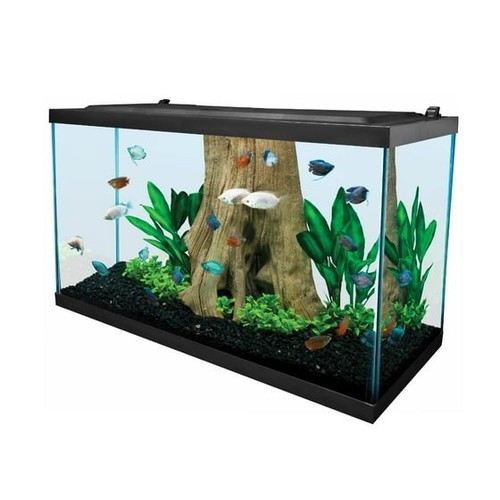 Tetra gallon glass - gallon,