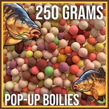 BULK POP-UP BOILIES 10mm 12mm 14mm 16mm LIQUID DPMT & BETAINE MIX- 250 GRAMS- UK