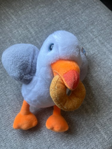 Steven the seagull - steven, with