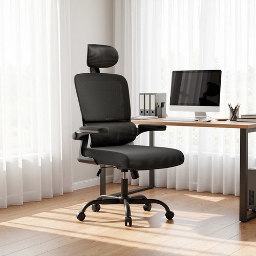 Flexispot ergonomic office - ergonomic,