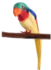 Fake Artificial Bird Parrot