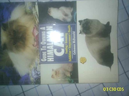 Himalayan cat popular - himalayan, (popular
