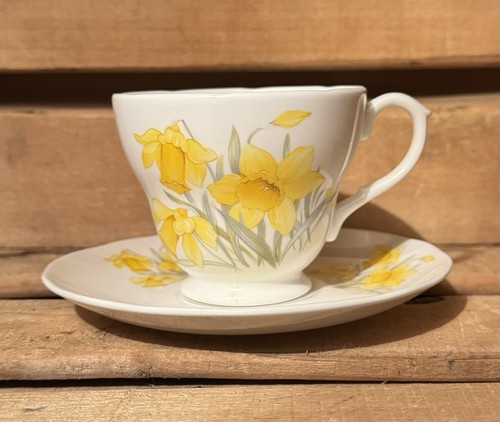 Jenny phillips daffodils - daffodils, wales