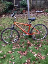 raleigh retro ladies mountain