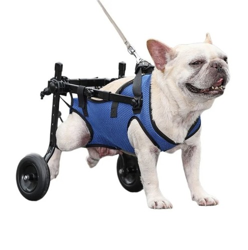 Dog wheelchair for back - dog,