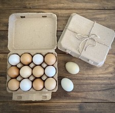 Henlay Vintage Blank Egg