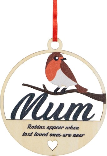 Robins appear when lost loved - robins,
