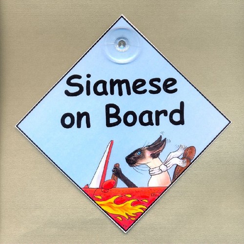 New design siamese board - siamese,