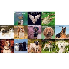 Animals Dog Breeds Birds Photo