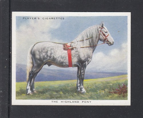1939 player types horse - types,