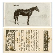Wills New Zealand Race Horses