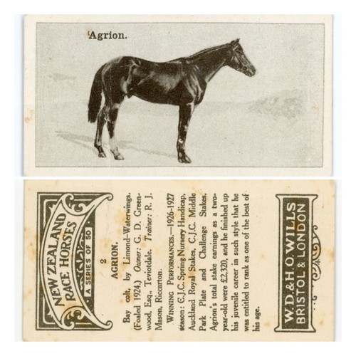 Wills new zealand - zealand, horses