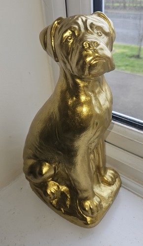 Gold gild boxer dog - gold,