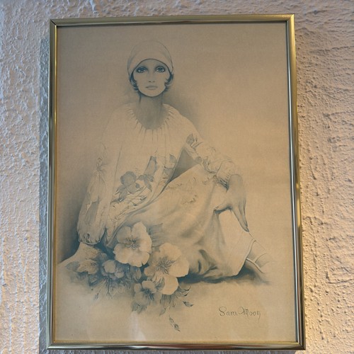 Vintage 70s sara moon framed - vintage,
