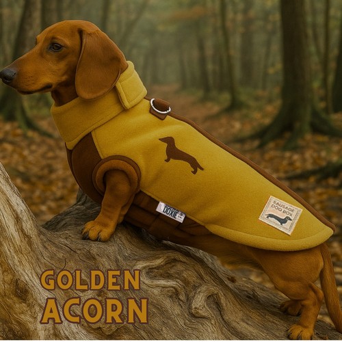 Golden acorn waterproof - golden,