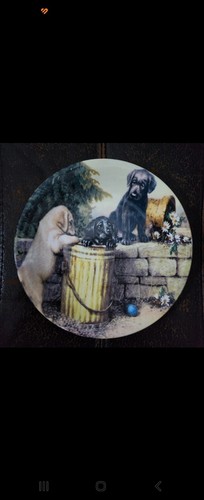 Dog art collectors plate - dog,