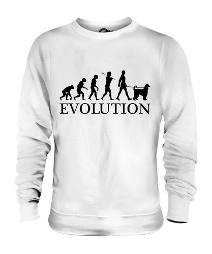 Afghan hound evolution - afghan,