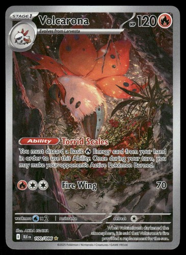 Pokemon cards volcarona - cards,