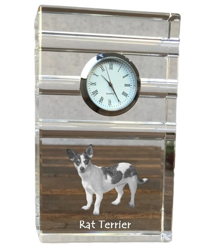 Rat terrier glass - rat,