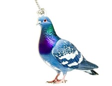 BEAUTIFUL PIGEON BIRD 2D