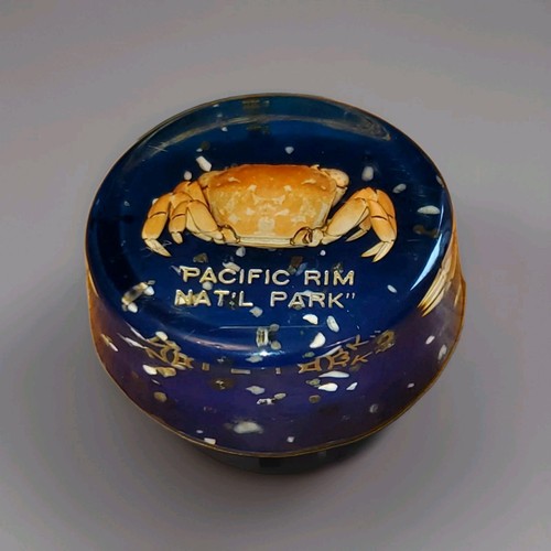Vintage 1970s lucite pacific - vintage,
