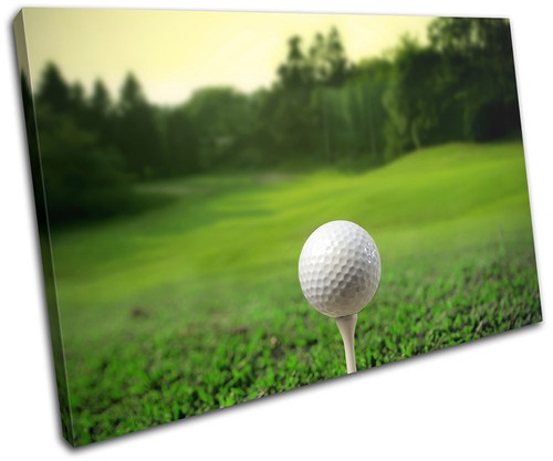 Golf ball tee outdoors - ball,