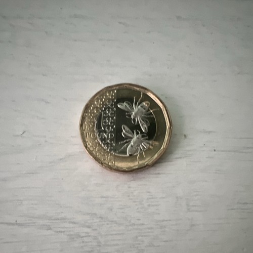 2023 one pound - (£1), coin