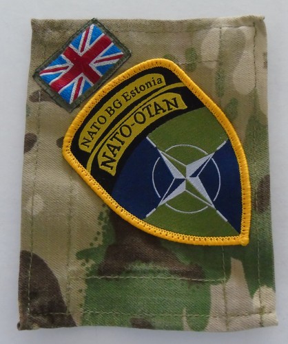 Nato battle group estonia - nato, mtp