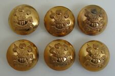 6 x British Army 3rd Carabiniers POW Dragoon Guards Large Brass Buttons