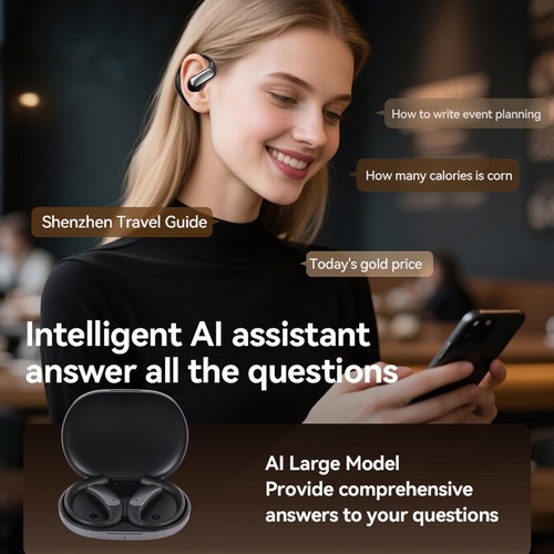 Translation earbuds 144 - translation,
