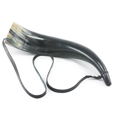 Medium horn bugle polished - ox,
