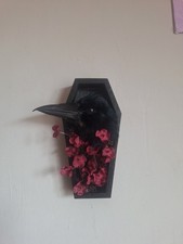 Taxidermy Crow Head Mount In