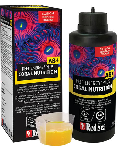 Red sea reef - reef, energy