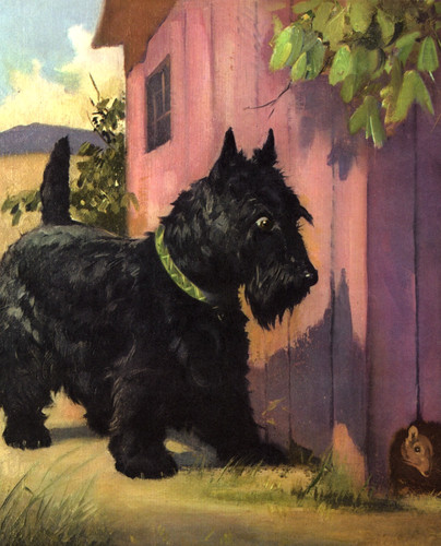 Vintage scottish terrier - vintage,
