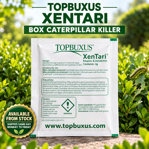 Topbuxus xentari box hedge - xentari,
