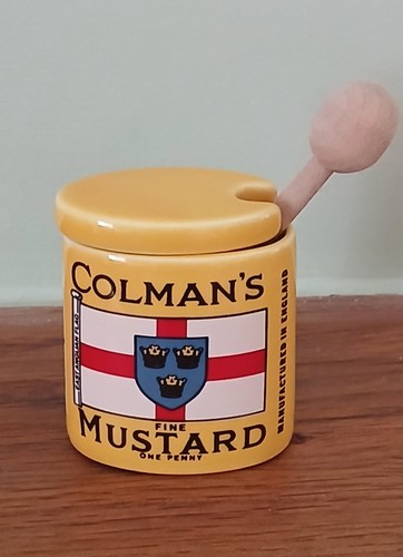 Vintage colman mustard pot - mustard,