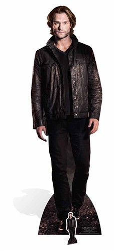 Sam winchester from - sam,