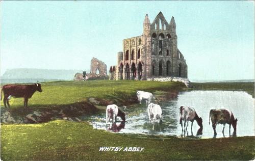 Whitby abbey yorkshire r - abbey,