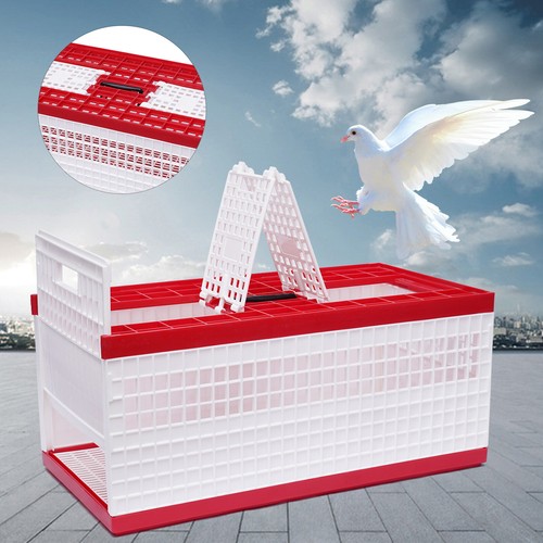 Racing pigeon carrier - racing, box
