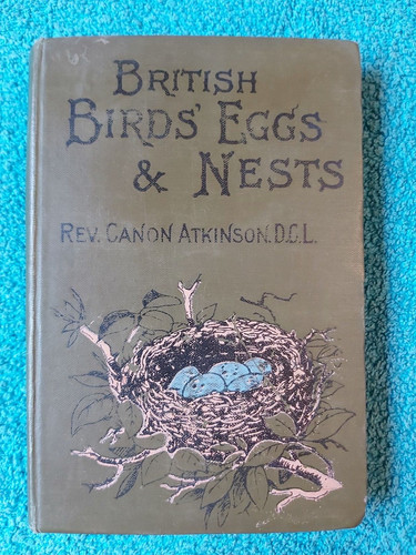 British birds eggs and - birds',