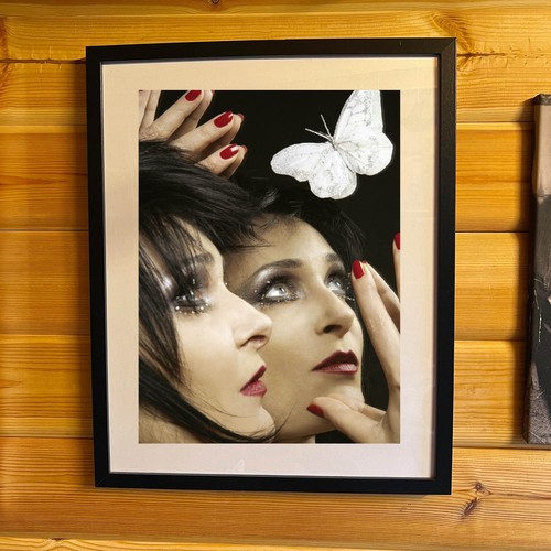 Siouxsie and the - ,